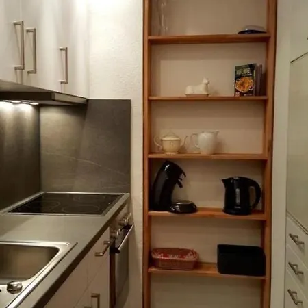 Chesa Fortuna 17 Apartment *